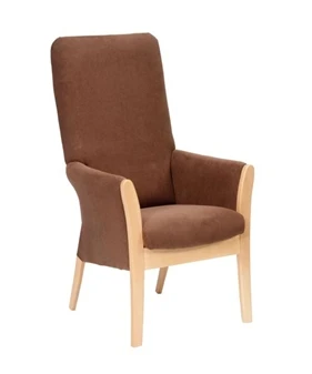 Adora Chair 1 Adora Chair