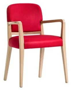 Raphael Dining Chairs 5 Raphael Dining Chairs -Furniture Chair Store prod large 687 3